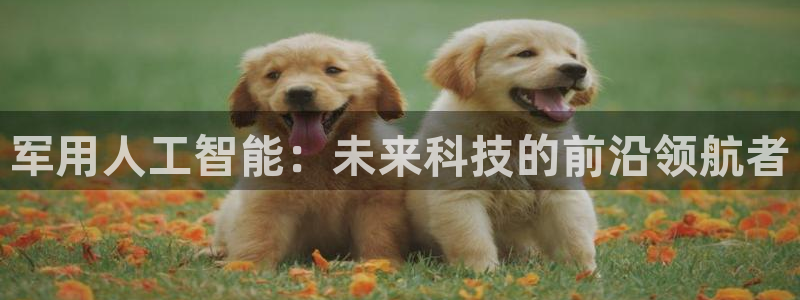 军用人工智能：未来科技的前沿领航者