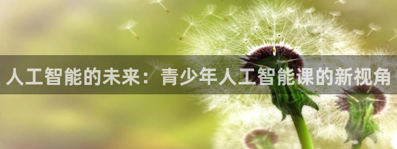 人工智能的未来：青少年人工智能课的新视角