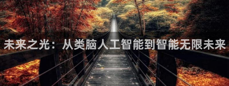未来之光：从类脑人工智能到智能无限未来