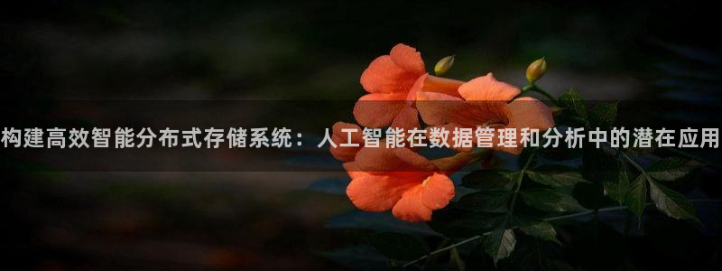 构建高效智能分布式存储系统：人工智能在数据管理和分析中的潜在应用