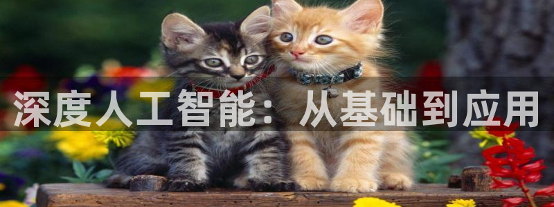 深度人工智能：从基础到应用