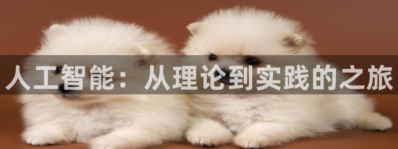 人工智能：从理论到实践的之旅