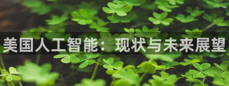 美国人工智能：现状与未来展望