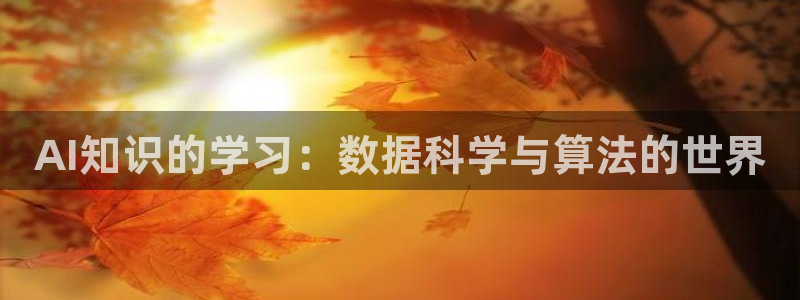 AI知识的学习：数据科学与算法的世界