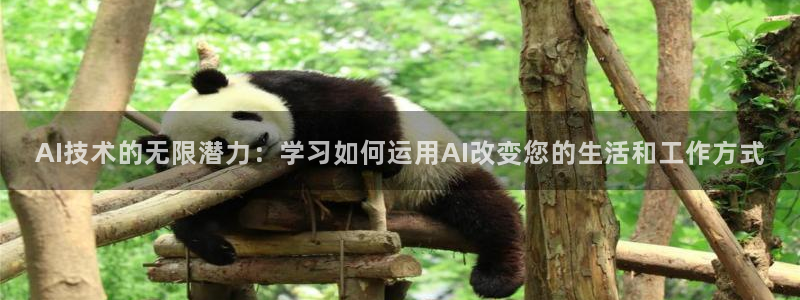 AI技术的无限潜力：学习如何运用AI改变您的生活和工作方式