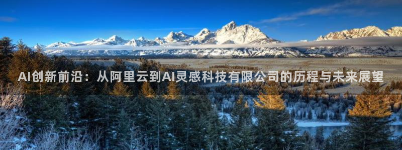 AI创新前沿：从阿里云到AI灵感科技有限公司的历程与未来展望