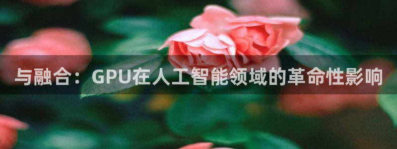 与融合：GPU在人工智能领域的革命性影响