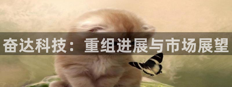 奋达科技：重组进展与市场展望