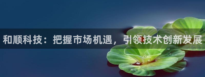 和顺科技：把握市场机遇，引领技术创新发展