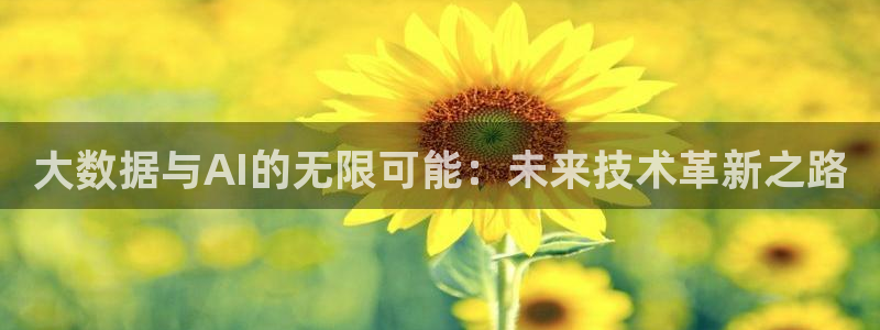 大数据与AI的无限可能：未来技术革新之路