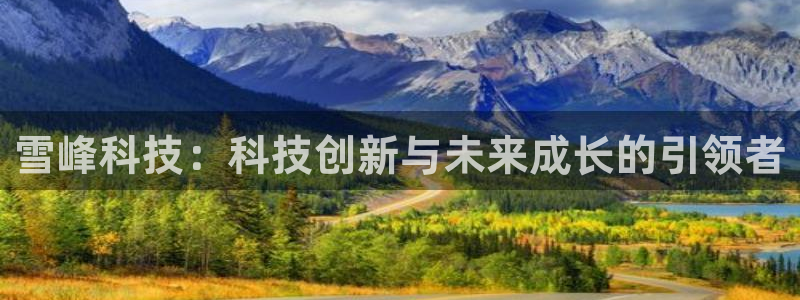 雪峰科技：科技创新与未来成长的引领者