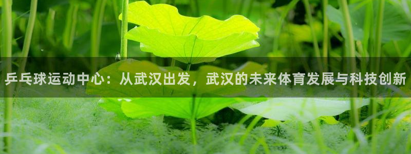 乒乓球运动中心：从武汉出发，武汉的未来体育发展与科技创新