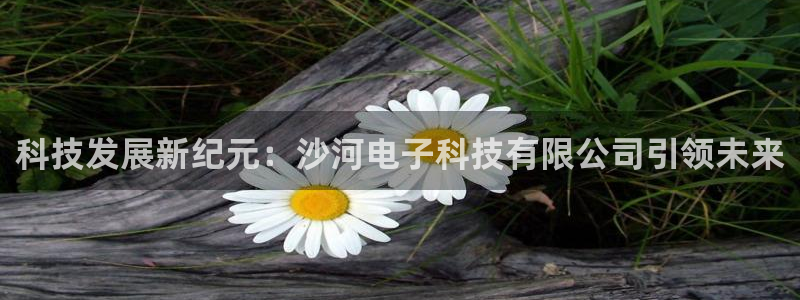 科技发展新纪元：沙河电子科技有限公司引领未来