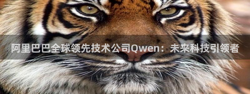 阿里巴巴全球领先技术公司Qwen：未来科技引领者