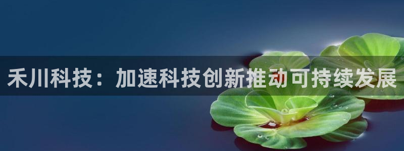 禾川科技：加速科技创新推动可持续发展