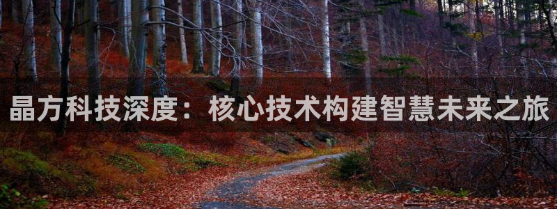 晶方科技深度：核心技术构建智慧未来之旅