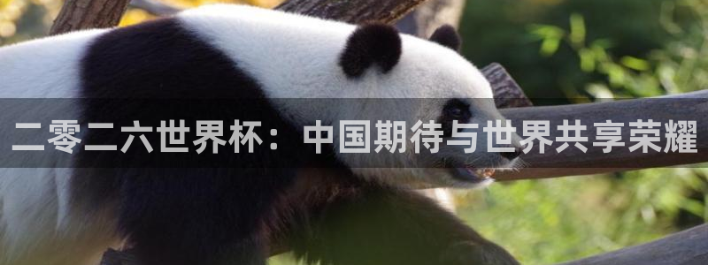 二零二六世界杯：中国期待与世界共享荣耀