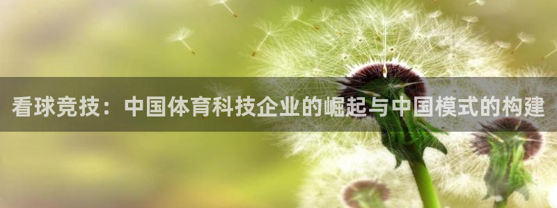 看球竞技：中国体育科技企业的崛起与中国模式的构建