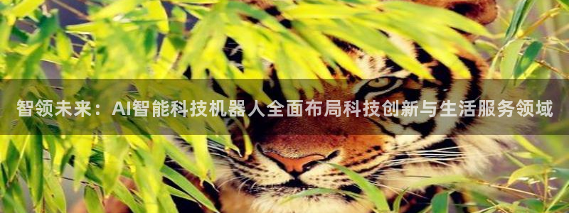 智领未来：AI智能科技机器人全面布局科技创新与生活服务领域