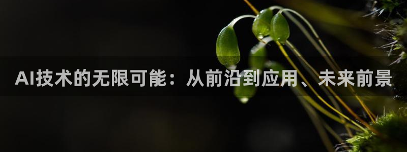 AI技术的无限可能：从前沿到应用、未来前景