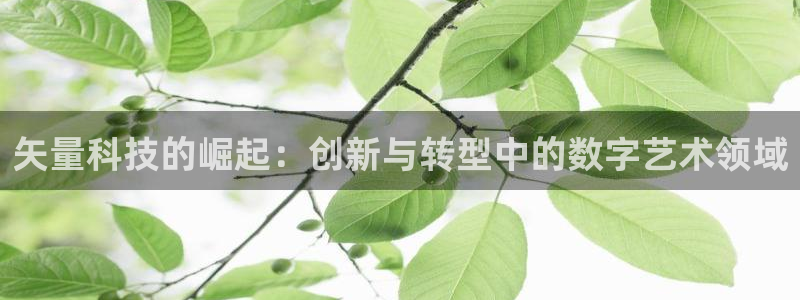 矢量科技的崛起：创新与转型中的数字艺术领域