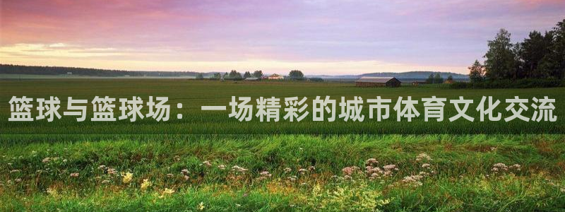 篮球与篮球场：一场精彩的城市体育文化交流