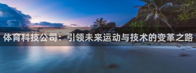 体育科技公司：引领未来运动与技术的变革之路