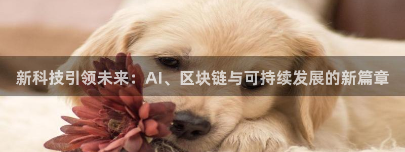 新科技引领未来：AI、区块链与可持续发展的新篇章