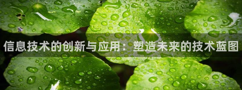 信息技术的创新与应用：塑造未来的技术蓝图