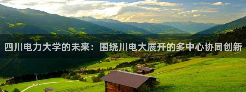 四川电力大学的未来：围绕川电大展开的多中心协同创新