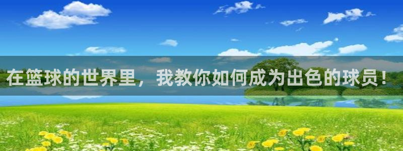 在篮球的世界里，我教你如何成为出色的球员！