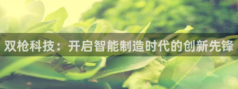 双枪科技：开启智能制造时代的创新先锋