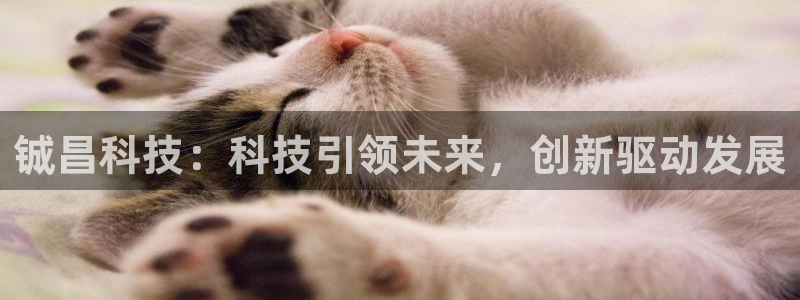 铖昌科技：科技引领未来，创新驱动发展
