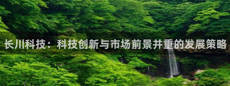 长川科技：科技创新与市场前景并重的发展策略