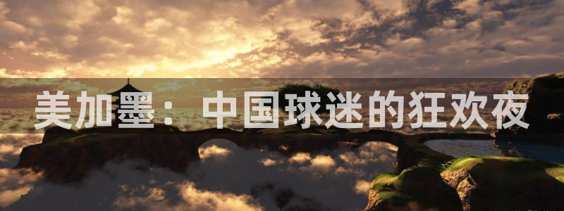 美加墨：中国球迷的狂欢夜