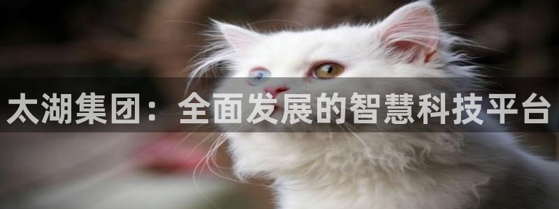 太湖集团：全面发展的智慧科技平台