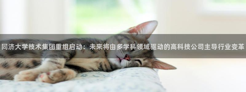 同济大学技术集团重组启动：未来将由多学科领域驱动的高科技公司主导行业变革