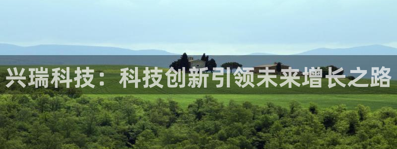 兴瑞科技：科技创新引领未来增长之路