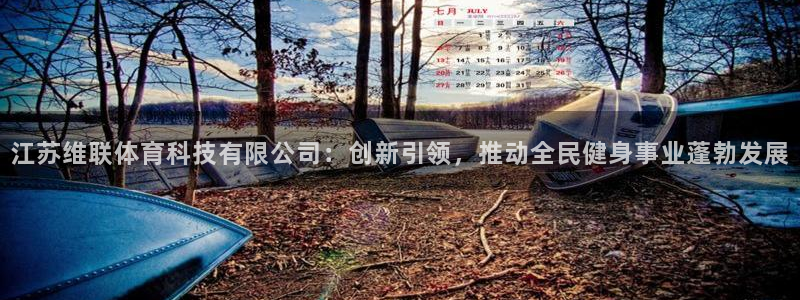 江苏维联体育科技有限公司：创新引领，推动全民健身事业蓬勃发展