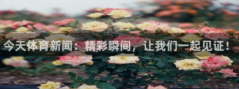今天体育新闻：精彩瞬间，让我们一起见证！