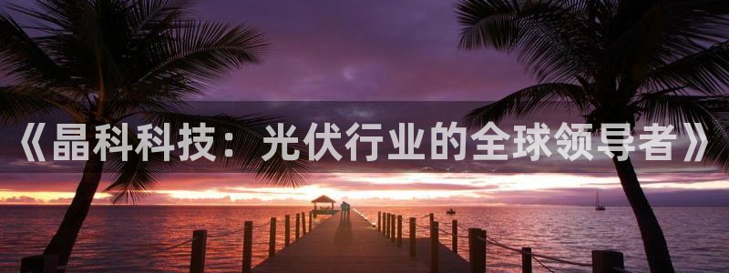 《晶科科技：光伏行业的全球领导者》