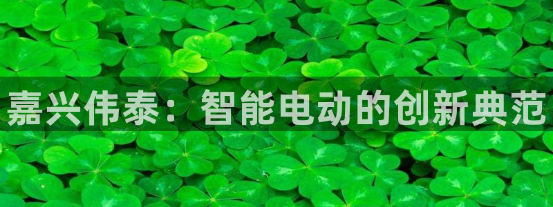 嘉兴伟泰：智能电动的创新典范