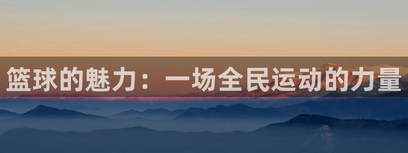 篮球的魅力：一场全民运动的力量