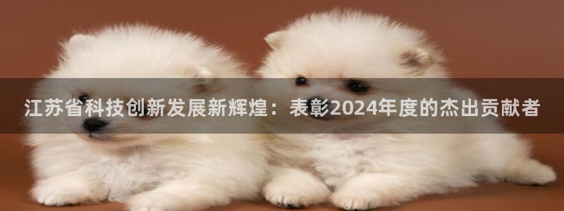江苏省科技创新发展新辉煌：表彰2024年度的杰出贡献者