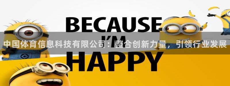 中国体育信息科技有限公司：整合创新力量，引领行业发展