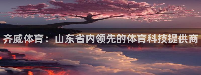 齐威体育：山东省内领先的体育科技提供商