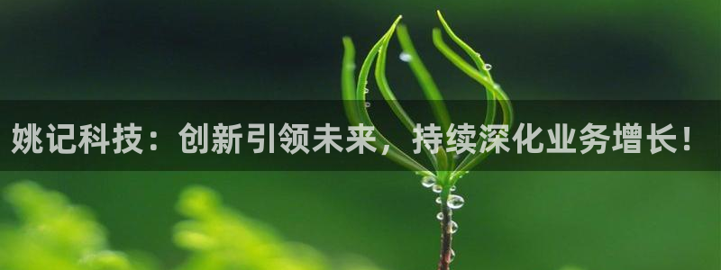姚记科技：创新引领未来，持续深化业务增长！