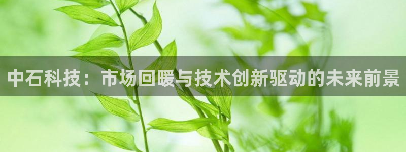 中石科技：市场回暖与技术创新驱动的未来前景