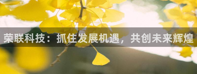 荣联科技：抓住发展机遇，共创未来辉煌
