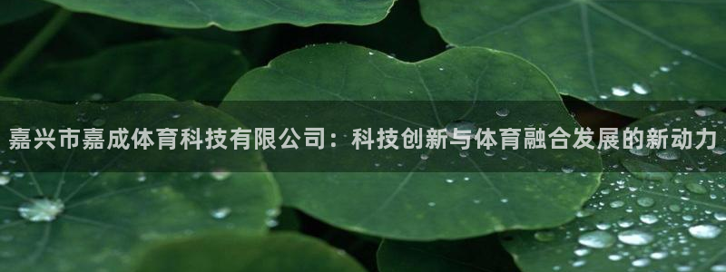 嘉兴市嘉成体育科技有限公司：科技创新与体育融合发展的新动力